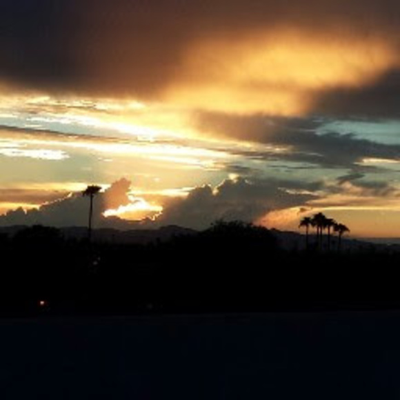 Meet your Posher, Denise - Picture 1 of 1